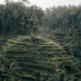 Photo of Pacific Discovery: Australia & Indonesia Semester Program
