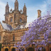 Photo of University of Sydney: Sydney - Direct Enrollment & Exchange