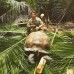 Photo of GVI: Curieuse - Seychelles Environmental Conservation Short Term Internship