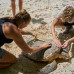Photo of GVI: Curieuse - Seychelles Environmental Conservation Short Term Internship