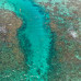 Photo of GVI: Ambergris Caye - Belize Marine Conservation Expedition