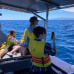 Photo of GVI: Tenerife - Short - Term Marine Biology Internship in the Canary Islands