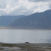 Photo of The School for Field Studies / SFS: Tanzania - Wildlife Management Studies