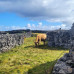 Photo of University of Galway: Direct Enrollment & Exchange