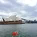 Photo of University of Sydney: Sydney - Direct Enrollment & Exchange