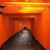 A student studying abroad with Temple University International Programs: Tokyo - Temple University Japan Campus