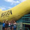 A student studying abroad with Pacific Discovery: New Zealand and Australia Semester Program