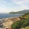 A student studying abroad with University of Northern Iowa: Taipei - UNI Biology Research in Taiwan