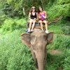 A student studying abroad with Thammasat University: Bangkok - Direct Enrollment & Exchange