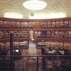 A student studying abroad with The Swedish Program: Stockholm, Sweden
