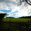 A student studying abroad with Adelante: Edinburgh - Equine Summer Program in Scotland