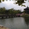 A student studying abroad with Study Abroad Programs in South Korea