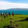 A student studying abroad with The Education Abroad Network: Wellington - Victoria University of Wellington