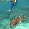 A student studying abroad with University of Sydney: Sydney - Direct Enrollment & Exchange