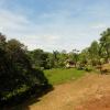 A student studying abroad with SFS: Panama - Tropical Island Biodiversity and Conservation Studies
