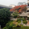 A student studying abroad with National University of Singapore: Singapore - Direct Enrollment/Exchange