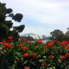 A student studying abroad with The Education Abroad Network (TEAN): Sydney - University of New South Wales