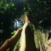 A student studying abroad with CIEE: Monteverde - Summer Tropical Ecology and Conservation