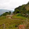 A student studying abroad with ISEP Direct: Heredia - Study Abroad at Universidad Nacional