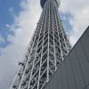 A student studying abroad with IES Abroad: Nagoya Direct Enrollment - Nanzan University