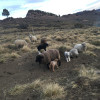 A student studying abroad with SIT Study Abroad: Argentina - Social Movements and Human Rights
