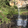A student studying abroad with The Education Abroad Network (TEAN): Brisbane - University of Queensland