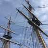 A student studying abroad with Williams College: Mystic - Williams-Mystic Maritime Studies Program
