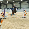 A student studying abroad with Adelante: Edinburgh - Equine Summer Program in Scotland