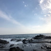 A student studying abroad with Middlebury Schools Abroad: Middlebury in Tokyo