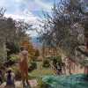 A student studying abroad with University of Georgia: Studies Abroad Program in Cortona, Italy