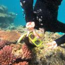 Arcadia: Sydney -Sydney Internship Program Summer Photo