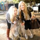 Arcadia: Sydney -Sydney Internship Program Summer Photo