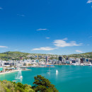 Study Abroad Reviews for API (Academic Programs International): Wellington - Victoria University of Wellington