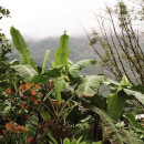 Sol Education Abroad: Heredia - Universidad Latina de Costa Rica Photo