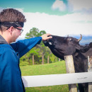 Sol Education Abroad - Study Abroad in Heredia, Costa Rica at Universidad Latina de Costa Rica Photo