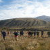 Photo of Frontiers Abroad: New Zealand Earth Systems