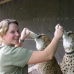 Photo of African Conservation Experience / ACE: Conservation Programs in Southern Aftica