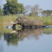 Photo of Wildlands Studies: Botswana - Wildlife Conservation