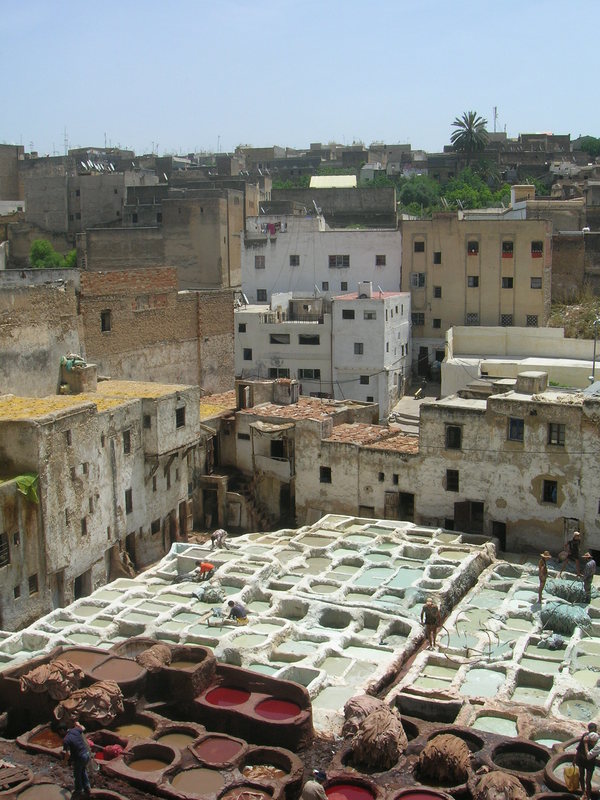 Fez Programm Fez Programm
