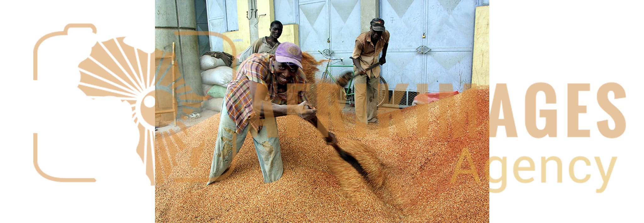 agriculture en cote d'ivoire