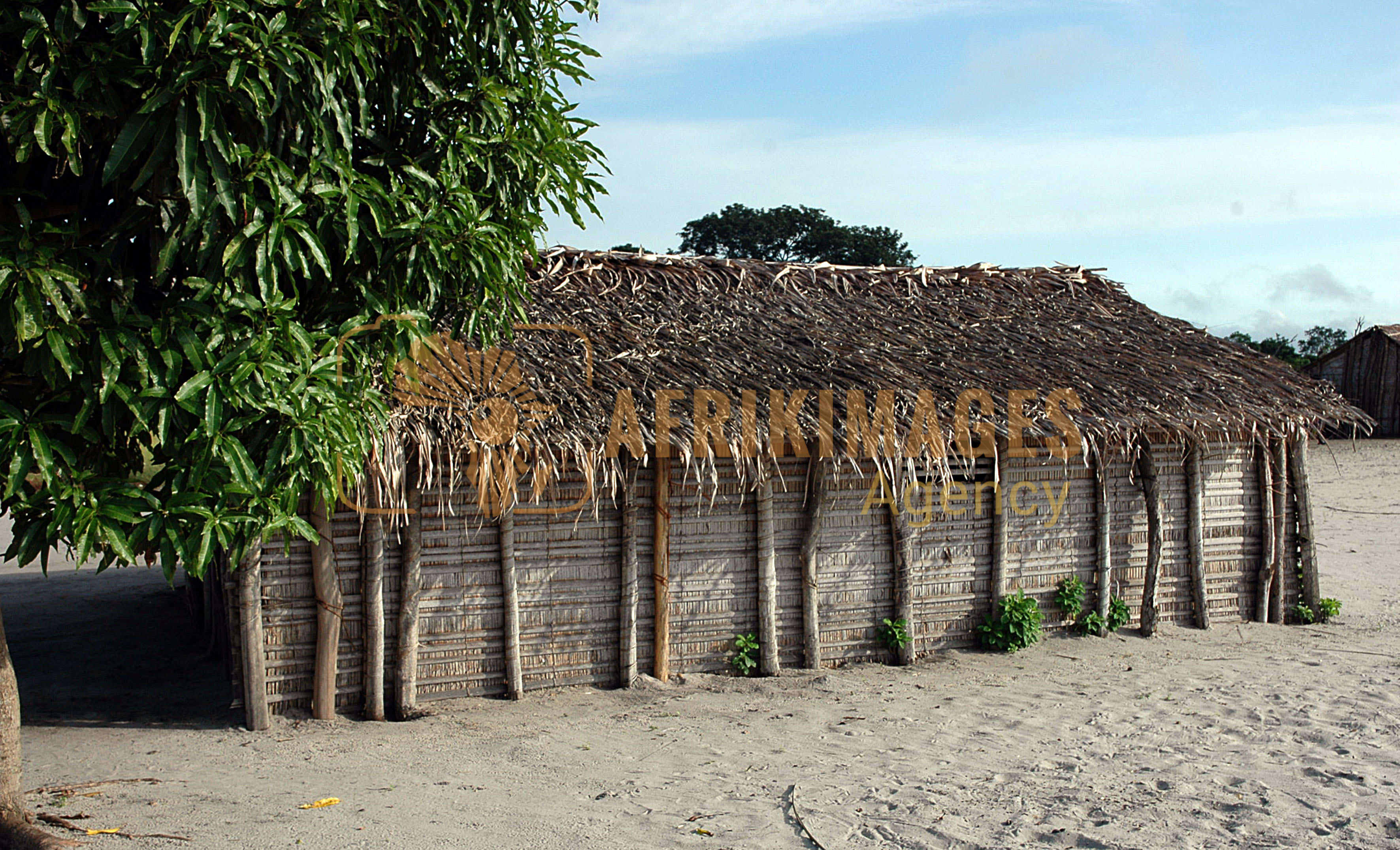Afrikimages république congo / nature
