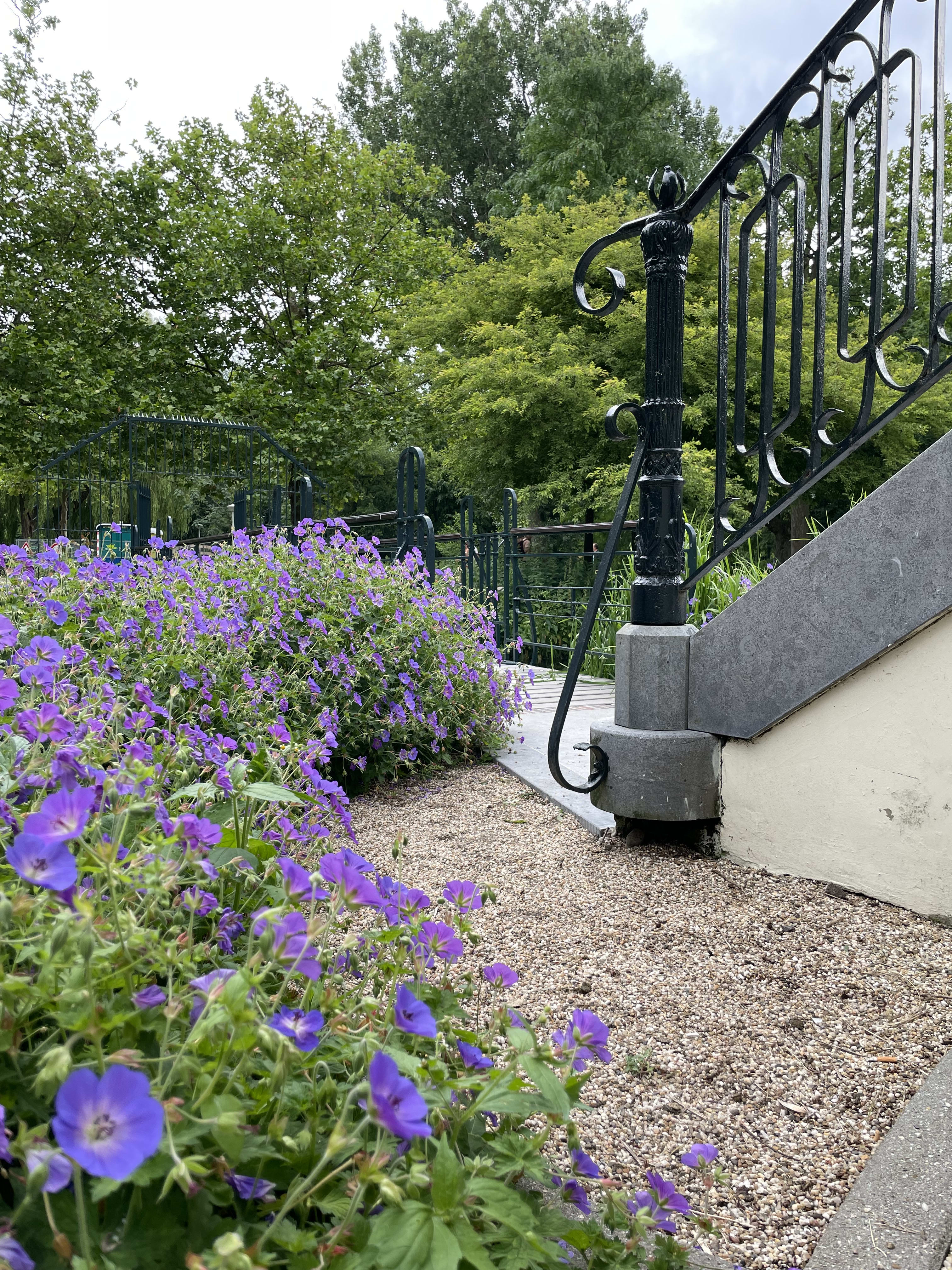 Garden design in Amsterdam