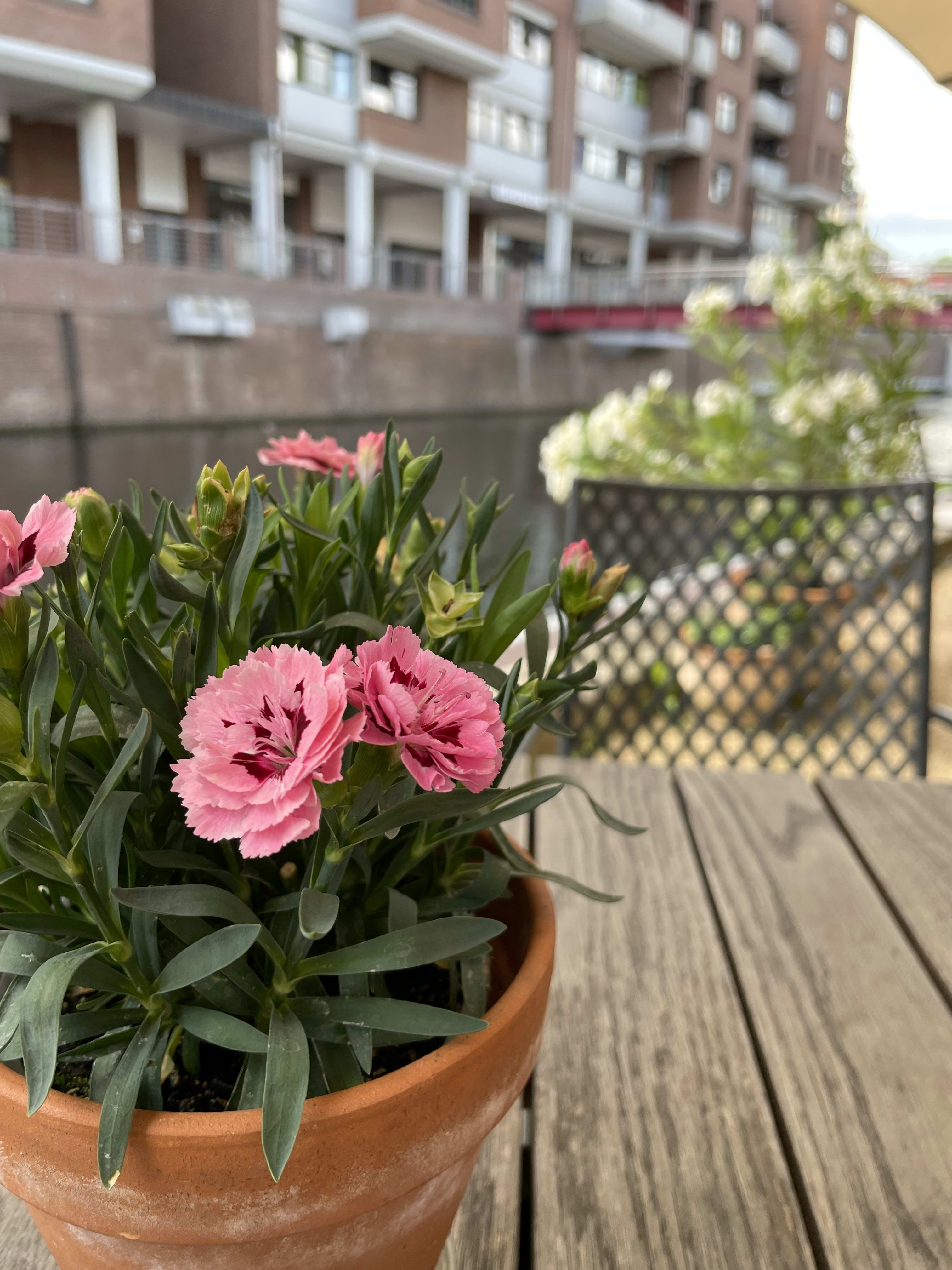 Balcony Design