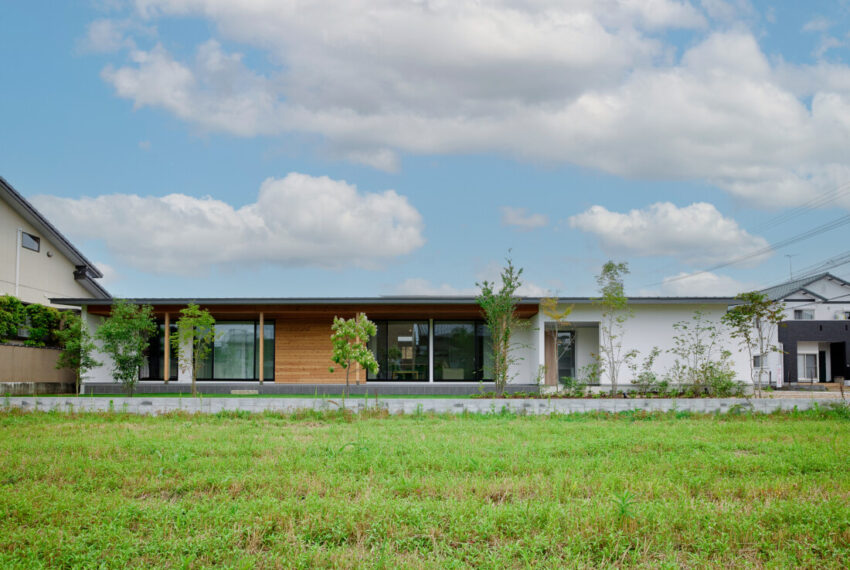 CHECK HOUSE