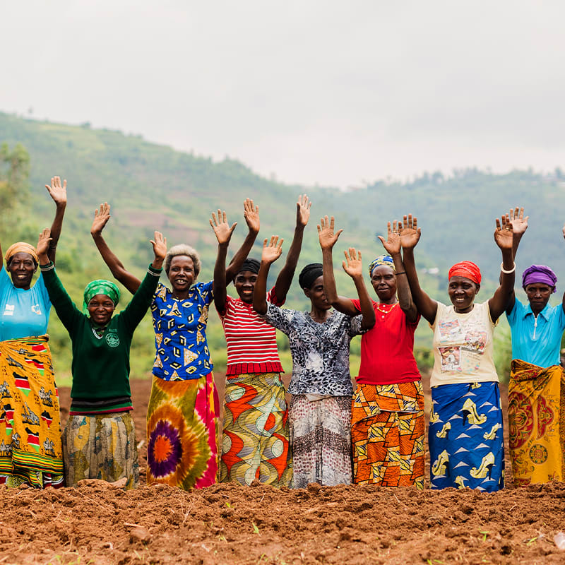 International Women's Day International Women's Day