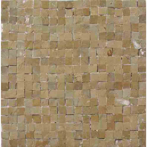 Nico Mozaics 8" x 8" Monochromic Honed Limestone Tile in Clear Green