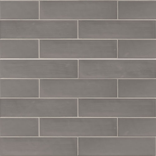 Tongue In Chic 2 1/2" x 10 1/2" Gloss Ceramic Wall Tile in Kickin' Ash & Takin' Names