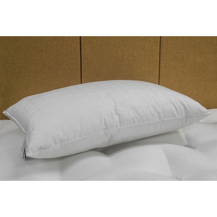 Boutique Silk Pillow
