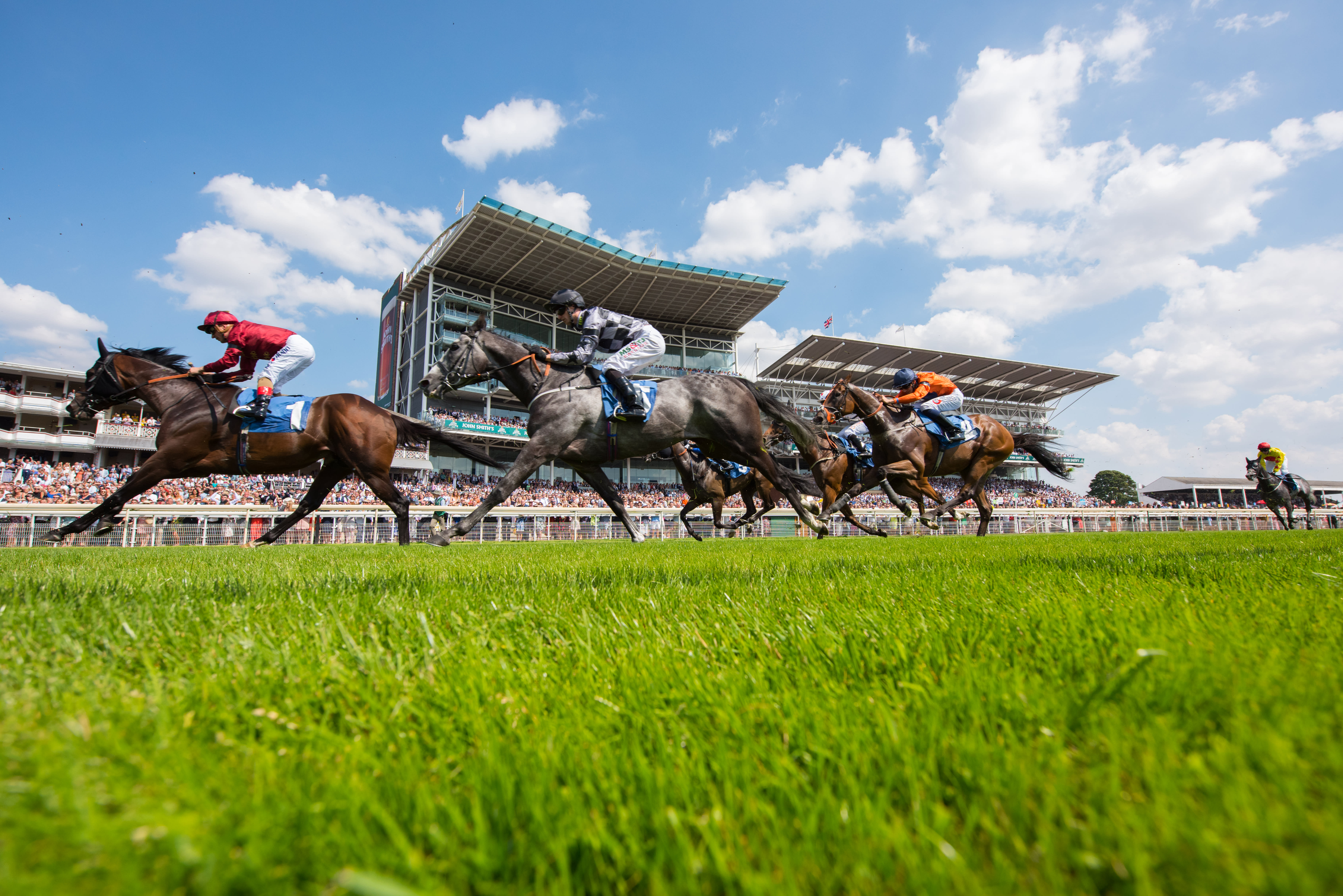 York Racecourse