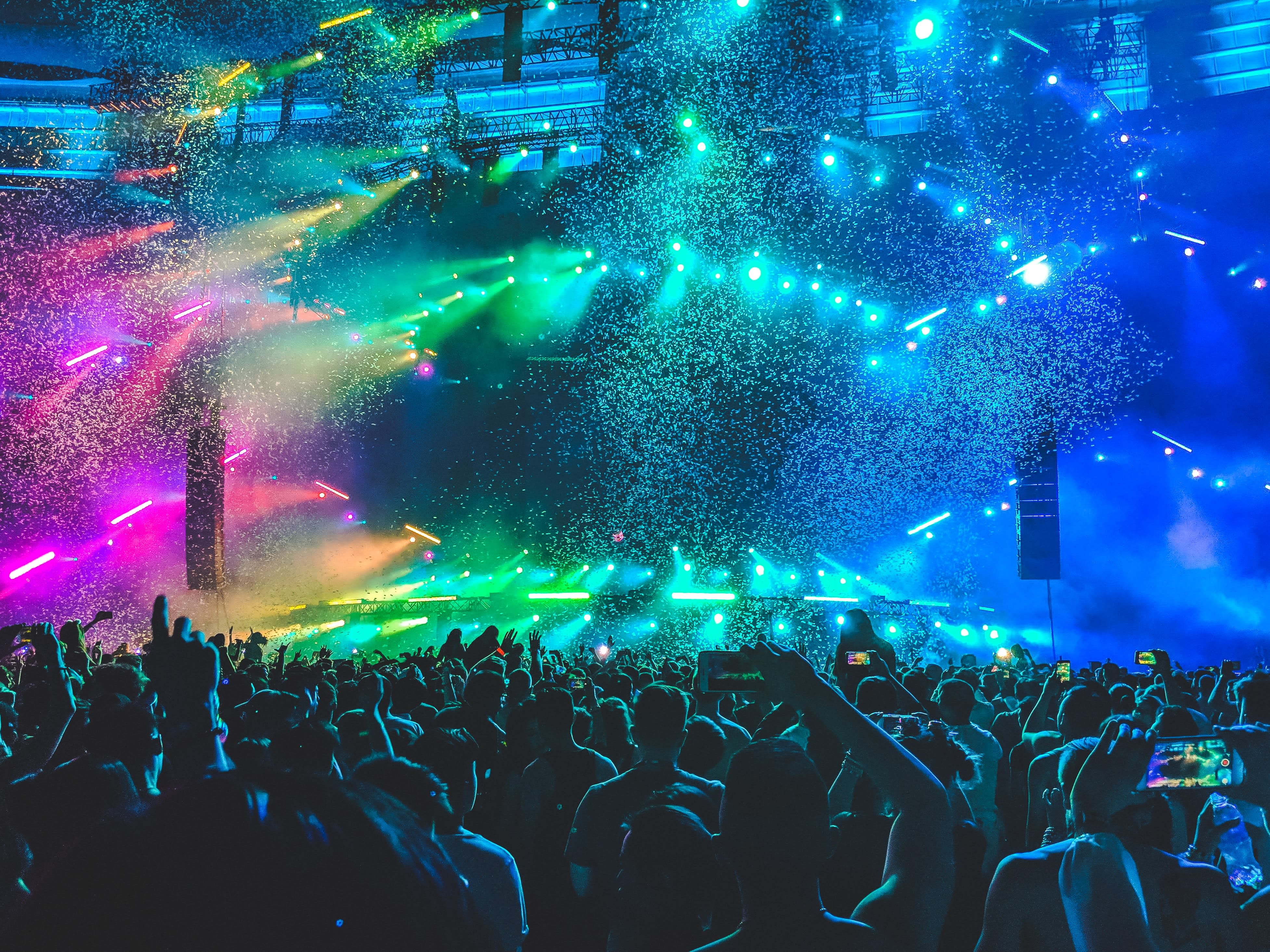 Fans at a concert.